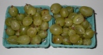 A pound of gooseberries