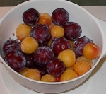 Purple plums and yellow plums