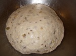 The dough ready to begin its first rise