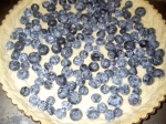 Blueberries distributed in the tart shell